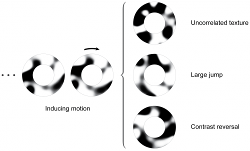 Motion perception revisited: High Phi effect challenges established motion perception assumptions