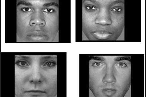 What’s in a face?Researchers find patterns of neural activity in brain region that plays a role in recognizing traits