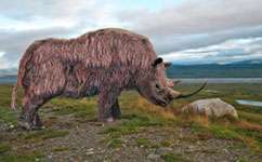 Woolly Rhino shows Britain was once a freezing tundra