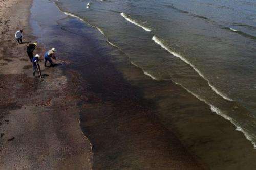 Workers hired by BP clean oil off the beach in a contaminated area on June 12, 2010 in Grand Isle, Louisiana
