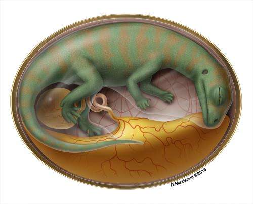 World's oldest dinosaur embryo bonebed yields organic remains