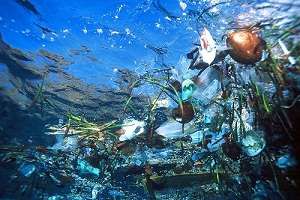World’s plastic devoured by ocean organism