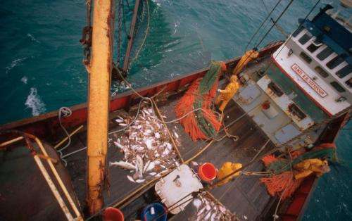 WWF calls for satellite technology on all commercial vessels to increase transparency of fishing activities