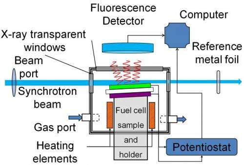 X-rays reveal fuel cells in action