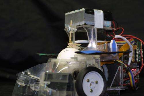 Insect drives robot to track down smells (w/ video)