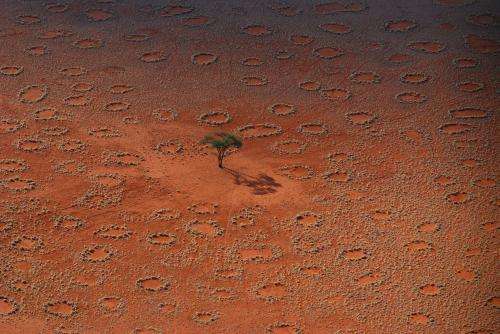 Mysterious fairy circles demystified: it's termites (Update)