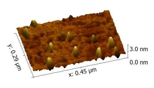 Zero-Dimensional Carbon Nanotubes