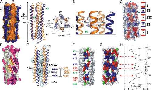 Antibiotics 2.0: The atomic structure and mechanism of mammalian host-defense peptides