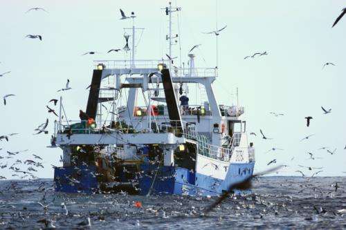 $200 bird scaring line for trawlers can cut albatross deaths by over 90 percent