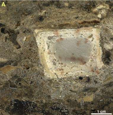 300,000-year-old hearth found