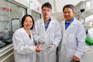 Aerogel technology holds potential for oil and chemical clean-up