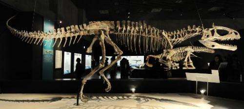 A file picture taken on March 13, 2009 shows the skeleton of a Cryolophosaurus Ellioti, diplayed at the exhibition &quot;Dinosau