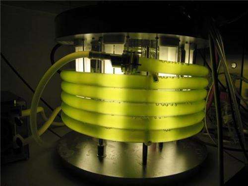 Algae may be a potential source of biofuels and biochemicals even in cool climate