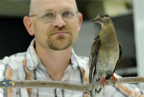 All gone: How erasing billions of birds shocked us