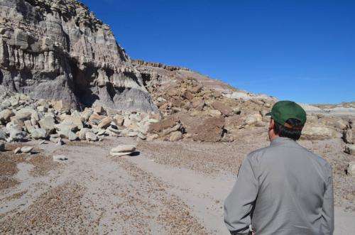 Amid a fossil bonanza, drilling deep into pre-dinosaurian rocks