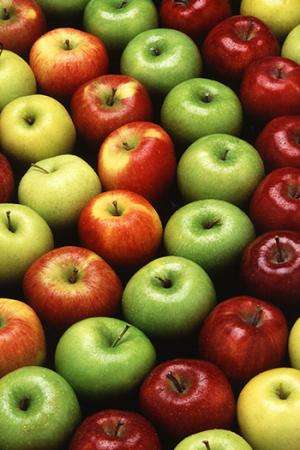 An apple a day could keep obesity away