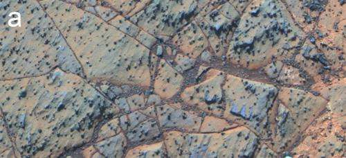 An Opportunity for life: finding Mars' most liveable mud