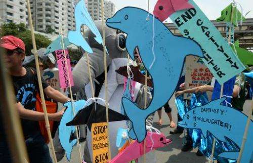 Anti-dolphin slaughter protesters rally in front of the Japanese embassy in Manila on September 2, 2013