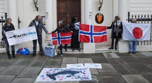 Anti-whaling protestors demonstrate outside the Norwegian embassy in central London on November 8, 2013