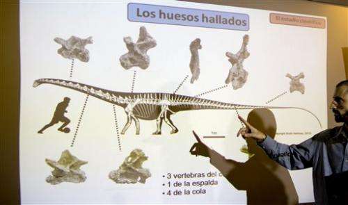 Argentine dino find: long-necks survived Jurassic