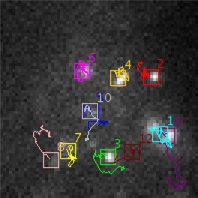 Automatic tracking of biological particles in cell microscopy images