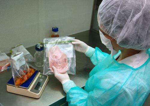 Bacteria detected in food may cause abortions