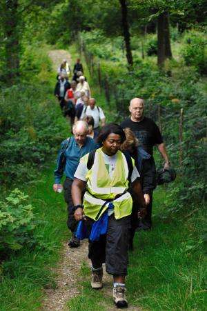 Beating stress outdoors? Nature group walks may improve mental health