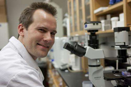 Biomedical engineer studies crowd control and cancer cells