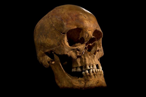 Bone chemistry reveals royal lifestyle of Richard III