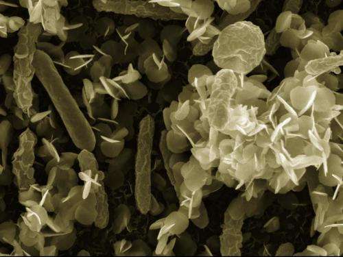 Boosting armor for nuclear-waste eating microbes