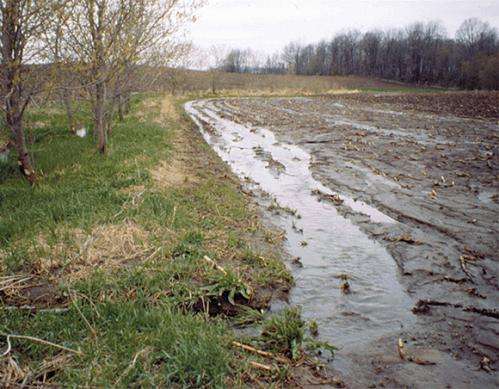 Breaking down differences in modeling soil water substantially shifts carbon stored in land