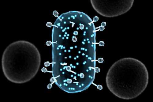 Brighter future for bacteria detection