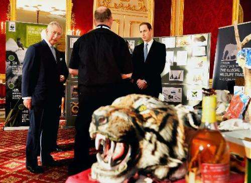 Britain's Prince William, Duke of Cambridge (R) and Britain's Prince Charles, Prince of Wales (L) take a tour of an exhibition a