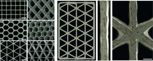 Carbon-fiber epoxy honeycombs mimic the material performance of balsa wood