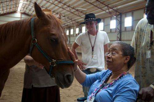 Caring for horses eases symptoms of dementia