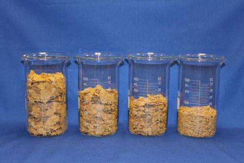Cereal flake size influences calorie intake