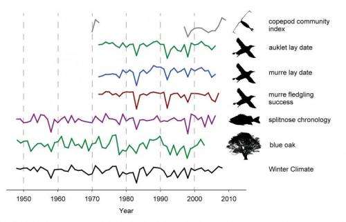Changes in coastal upwelling linked to variability in marine ecosystem off California
