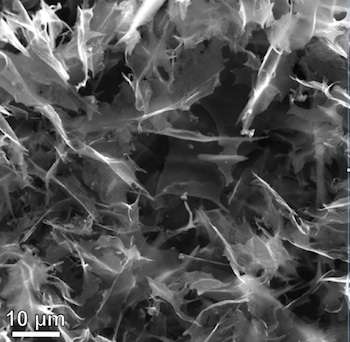 Cheap hybrid outperforms rare metal as fuel-cell catalyst