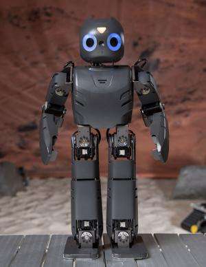 Co-robots team up with humans