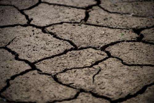 Cracked earth in an area that used to be underwater in the Jaguari dam, during a drought affecting Sao Paulo state, on August 19