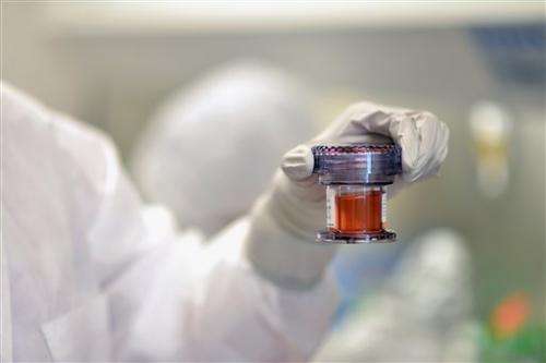 Designer T cells fight viruses after transplants