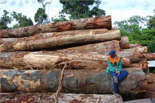 Devastating human impact on the Amazon rainforest revealed