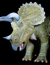 Dinosaurs doing well before asteroid impact