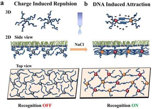 DNA-linked nanoparticles form switchable 'thin films' on a liquid surface