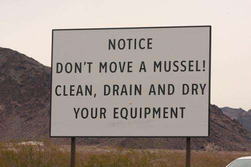 Don't move a mussel (or a clam, or a snail)