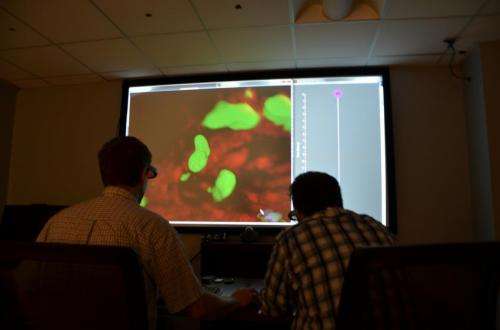 Drexel engineers use 3-D gaming gear to give eye-opening look at cells in action