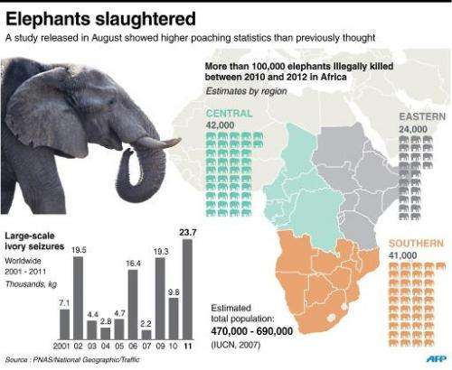 Elephants slaughtered