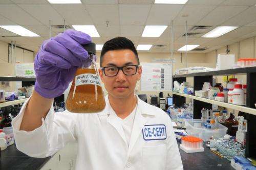 Enhancing biofuel yields from biomass with novel new method