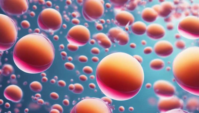 Ephemeral soap bubbles give clue to how cells develop with regular shapes in tissues