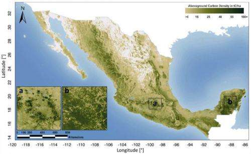 First detailed map of aboveground forest carbon stocks in Mexico unveiled